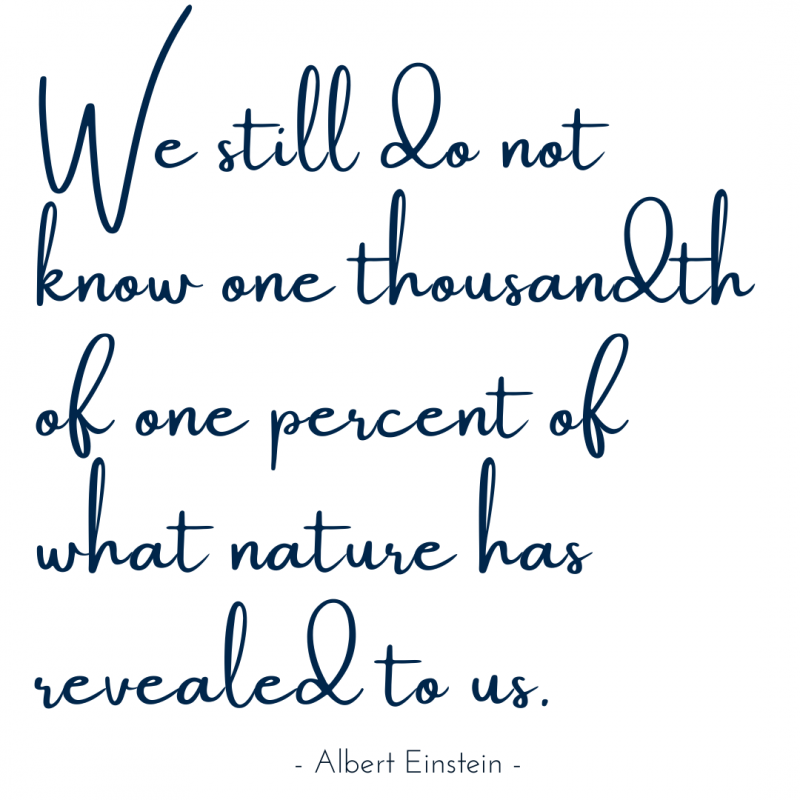 We still do not know one thousandth of one percent of what nature has revealed to us - Albert Einstein-